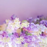 こゆき𓈒𓐍❁⃘ (@coyukimau_mr) 's Twitter Profile Photo こゆき𓈒𓐍❁⃘ (@coyukimau_mr) 's Twitter Profile Photo