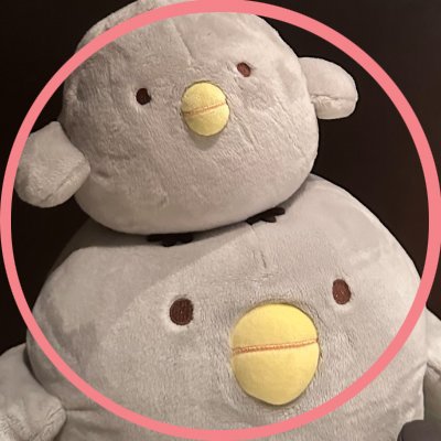 ひよこ？最推しすみ箱推し