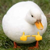 DUQQ (@duqq_00) 's Twitter Profile Photo DUQQ (@duqq_00) 's Twitter Profile Photo
