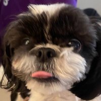 광.. (@merdebr) 's Twitter Profile