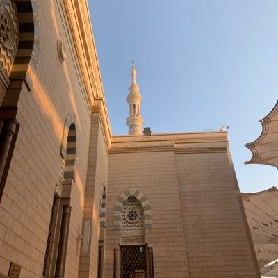 Tasnem_Alsulami's profile picture. خريجة احياء دقيقة ( اللَّهُمَّ إِنِّي أَسْأَلُك الثَّبَاتَ فِي الْأَمْرِ )