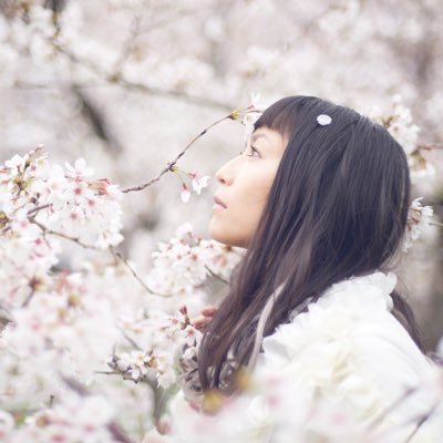 SAKAI_KANAKO Profile Picture