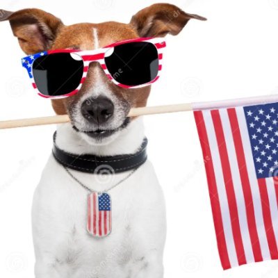 God 🙏and Country🇺🇸Seeker of peace and justice🇺🇸Somewhat introverted🇺🇸Life-long Liberal🇺🇸 Love animals, Cats & Dogs rule! NO DMs! 🌴🍺😎🍺🌴💙