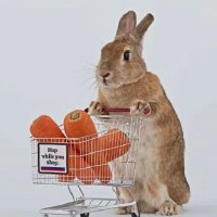 胡萝卜采购员 (@rosie2929) 's Twitter Profile Photo