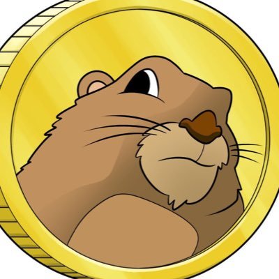 MunkCoin Profile Picture