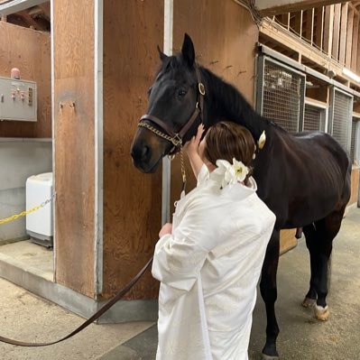 クレーンゲーム🏗ハマり中 特に🐎サラブレッドコレクション❤️お馬が好きで競馬も勉強中です🏇🏇推し馬はソダシ！無言フォローお許しください🙏🏽🤩❤️✌🏽