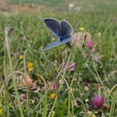 biryektek's profile picture. sorgulanmayan  hayat yaşamaya değmez .