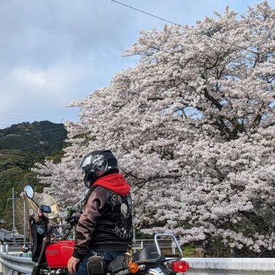 バイクで走ると嫌なこと忘れる‼️年間一万キロ以上走ってます。ラーメン温泉大好き🍀😌🍀愛知県在住です。