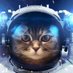 Cosmopilot (@SpAcE_LoVeR1) Twitter profile photo
