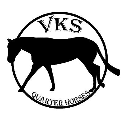 VKS Quarter Horses is an Ohio-based Quarter Horse farm, specializing in breeding high quality, ranch QHs and teaching riding lessons! Coming soon!