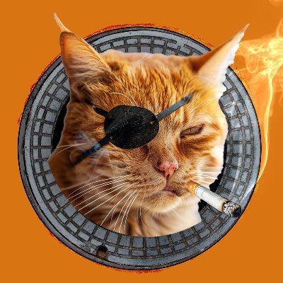 @MeanOrangeCat