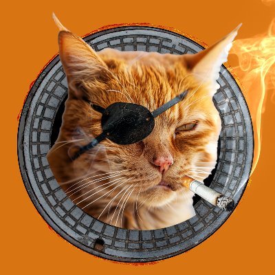 MeanOrangeCat Profile Picture