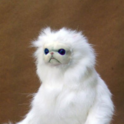 cat + monkey = catmonkey