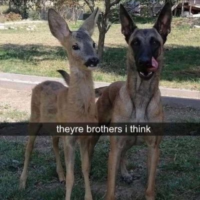 20 / i post irls here (skating, outfits, bitchass complaining) / hopelessly romantic gay deerboy / official kelsey fanclub