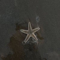 Aryan S (@unexpected31022) 's Twitter Profile