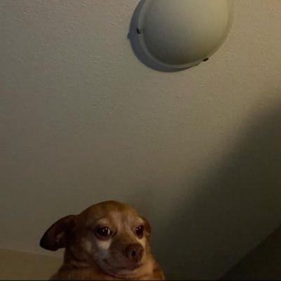 adum_blessing's profile picture. 