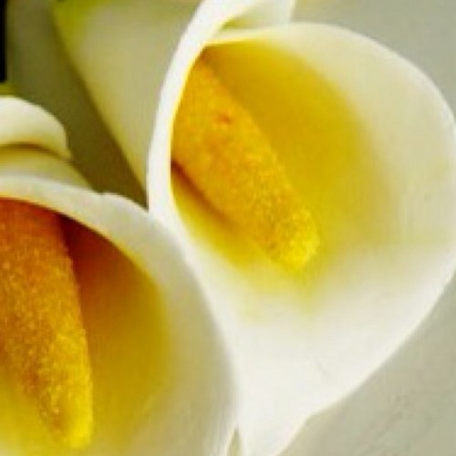 readsandgeeks's profile picture. 