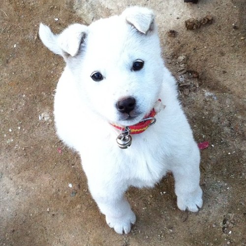 endorand81's profile picture. 음악을 하고싶은 프로그래머