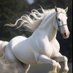 ROBERT NIEVES. (@robertn88876474) Twitter profile photo ROBERT NIEVES. (@robertn88876474) Twitter profile photo