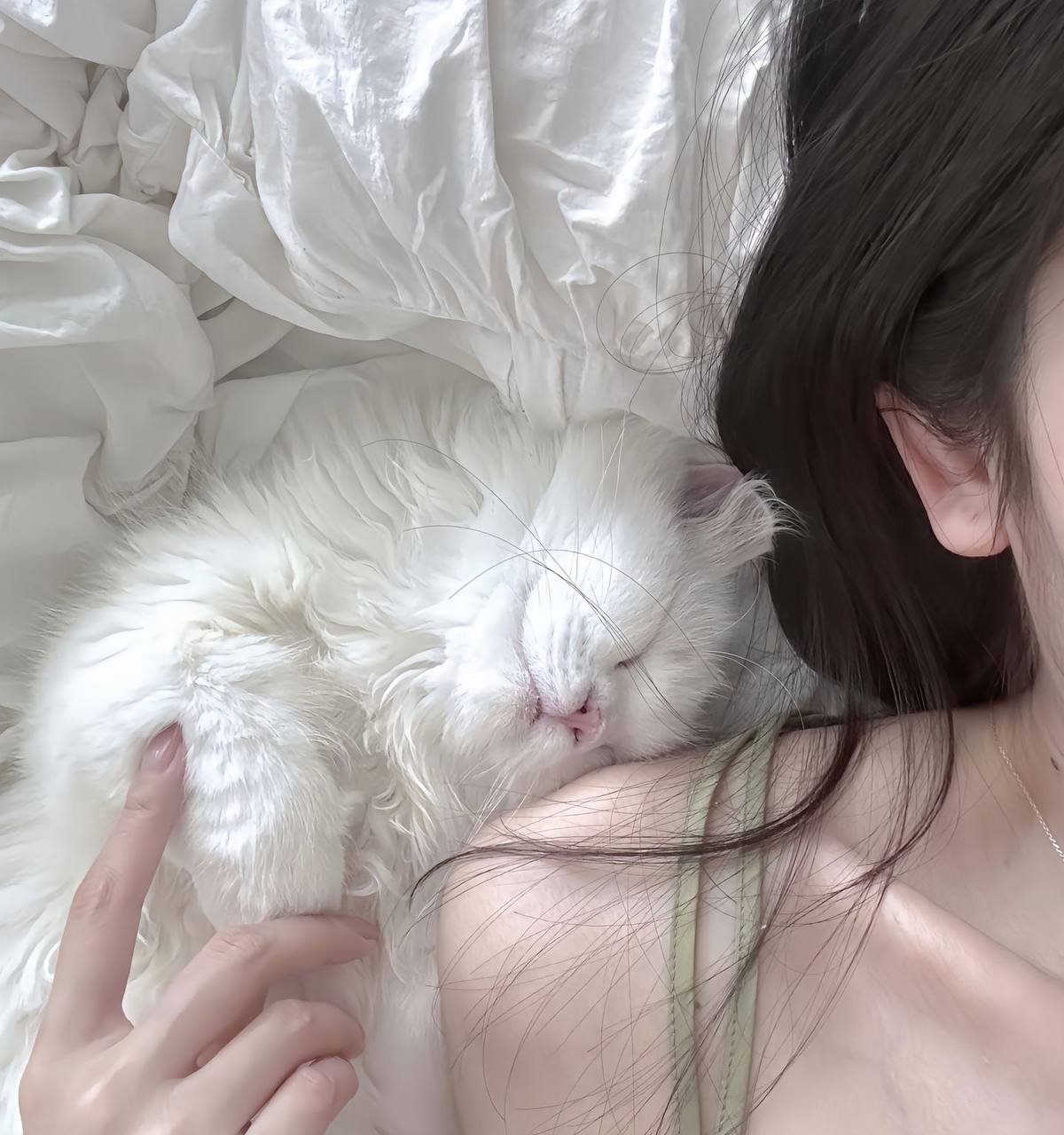 Ronnqaz's profile picture. 진심으로 무언가를 갈망하면 온 세상이 당신을 도울 것입니다.