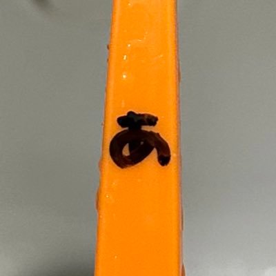 amuuuuさんのプロフィール画像