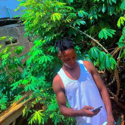 Sandra558624221's profile picture. 