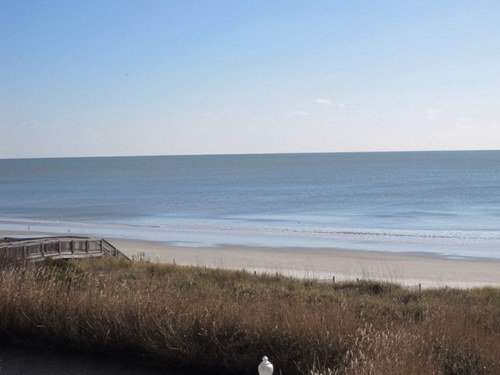 debbiemac1979's profile picture. 