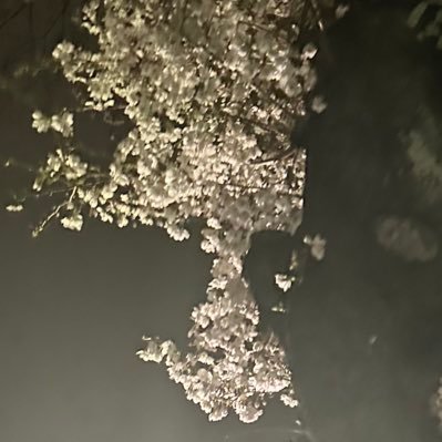 🌿.∘さんのプロフィール画像
