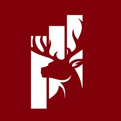 0xTheChartist's profile picture. A deer digs deeply into bull and bear markets
Focus on Pinescript to program the indicators on Tradingview
https://t.co/2bfWMwlHT4