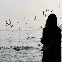 Echo (@echo_btci) 's Twitter Profile