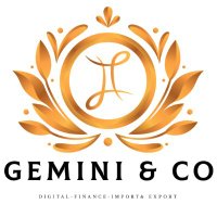 Gemini & Company(@GeminiandCo229) 's Twitter Profile Photo