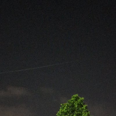 Xoxobring's profile picture. 