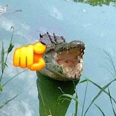 Henri1l's profile picture. Luto por Cristo, apenas por Cristo.
16
Belo Horizonte - MG
Desenvolvedor e apreciador de Caçadores de Insetos (ou Bug Hunters chame como quiser)