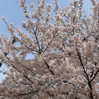 elu_ryuji's profile picture. 