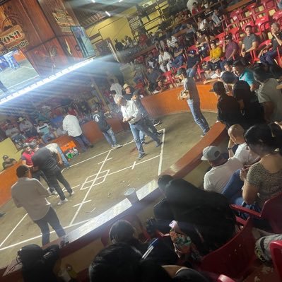 Apasionados por los gallos. galleros de corazón. amor a la tradición. Compartí aprendizaje. Esperamos sea de tu agrado nuestro contenido