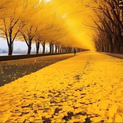 NnekkyDU's profile picture. 