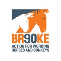Brooke Hospital For Animals (India)(@BrookeIndia1) 's Twitter Profile Photo