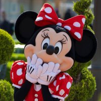 ごま (@momoyuki1212) 's Twitter Profile Photo ごま (@momoyuki1212) 's Twitter Profile Photo