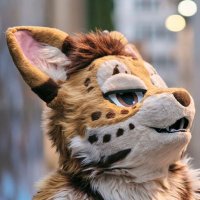 clem 🔜 FWA(@clemserval) 's Twitter Profile Photo