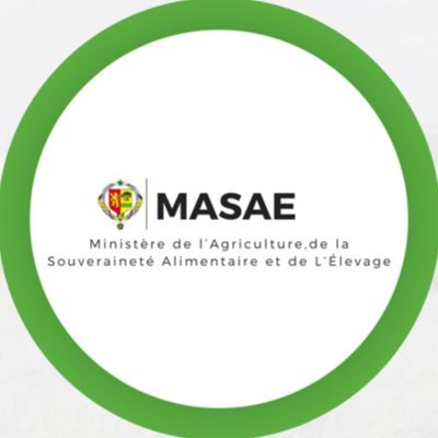 MASAE_sn Profile Picture