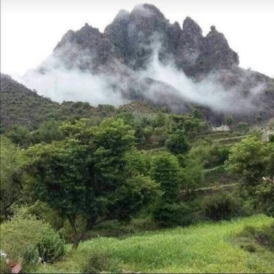 AbwAmyn72752's profile picture. 