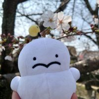 たごちゃん📪 (@tagochan1a0y1a1) 's Twitter Profile