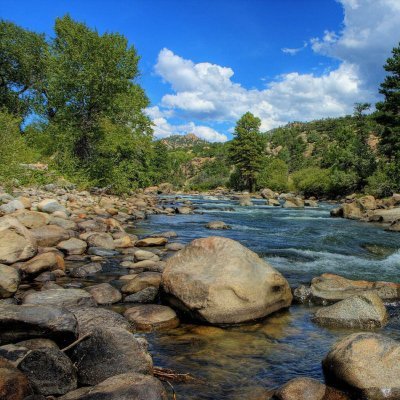 pranesh5196's profile picture. 