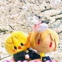 さき🐰👴🏻 (@shokoteba) 's Twitter Profile Photo さき🐰👴🏻 (@shokoteba) 's Twitter Profile Photo