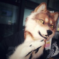 大賀(OGA) 🔥 🔜 以茶會毛2025 (@oga_wolf06) 's Twitter Profile