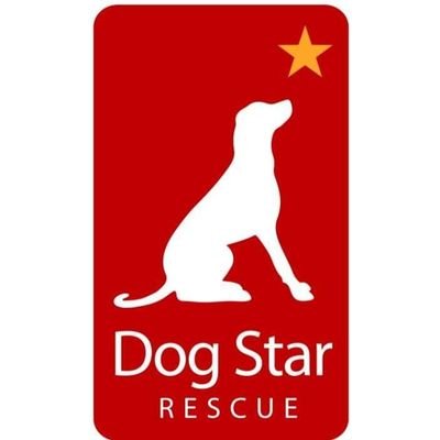 Dog Star Rescue Profile