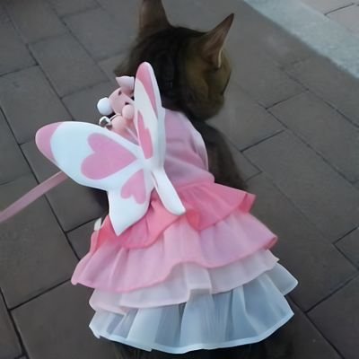 mikua00's profile picture. なんとなく…活動中。。。