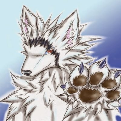 犬龍さんのプロフィール画像