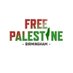 Free_palestine_birmingham (@F_P_Birmingham) Twitter profile photo