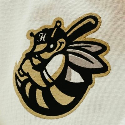 TLHannaBaseball Profile Picture